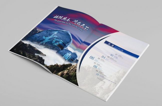 企業(yè)畫(huà)冊(cè)印刷 企業(yè)畫(huà)冊(cè)印刷